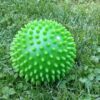 Piłka jeż Ø10 cm (zielona)
