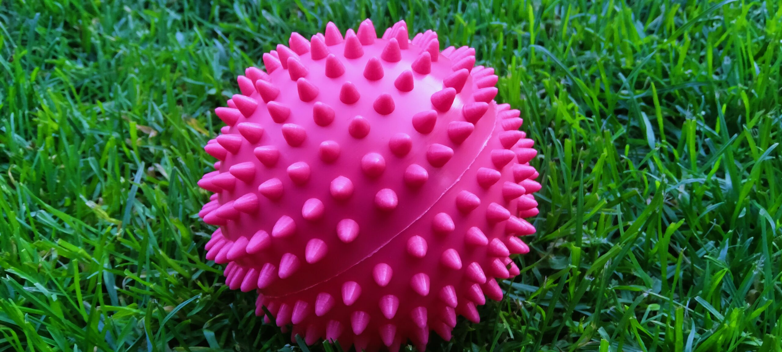 Piłka jeż Ø10 cm (różowa)