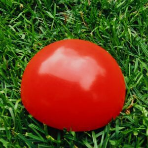 Półkula balansująca 10 cm (czerwona)