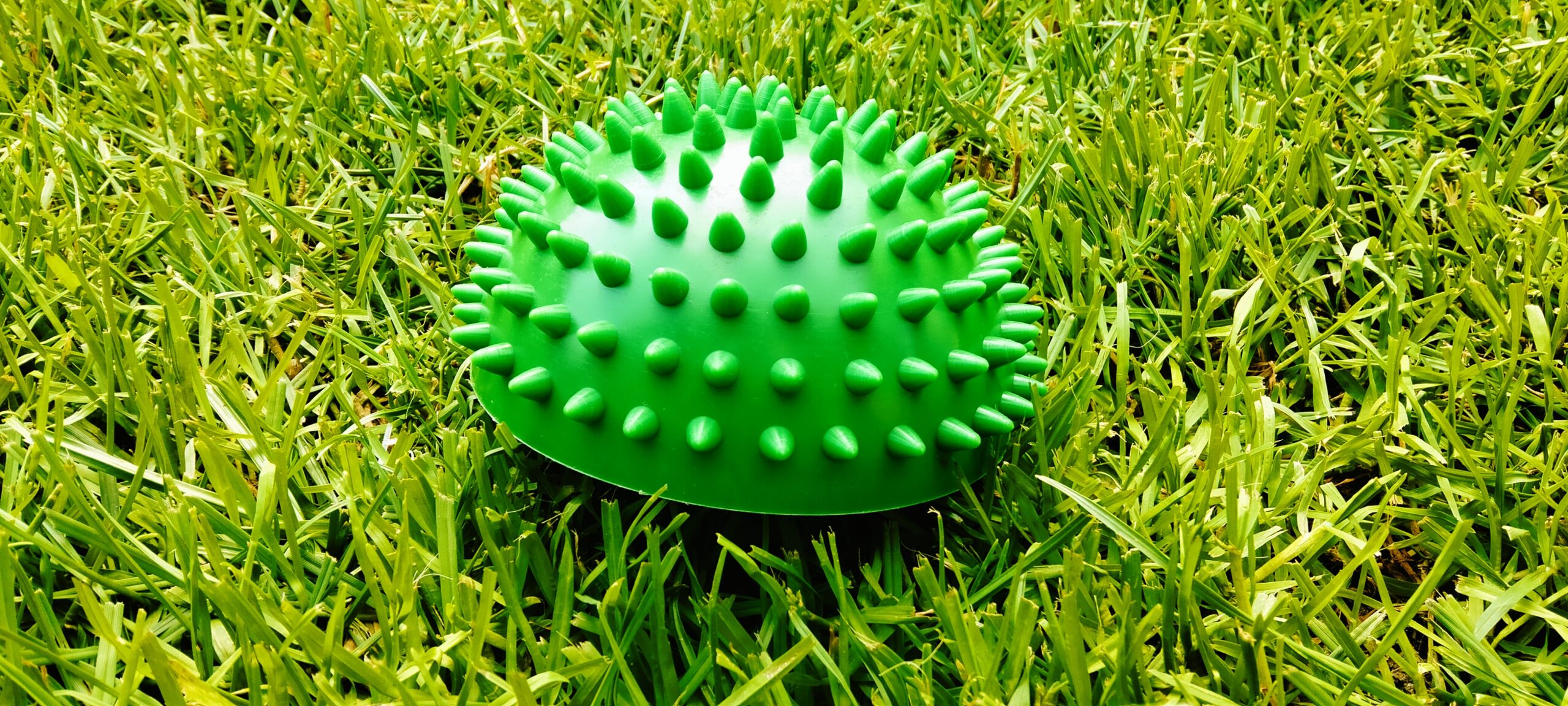 Półkula sensoryczna Ø 10 cm (zielona)