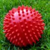 Piłka jeż Ø10 cm (czerwona) - obrazek 3