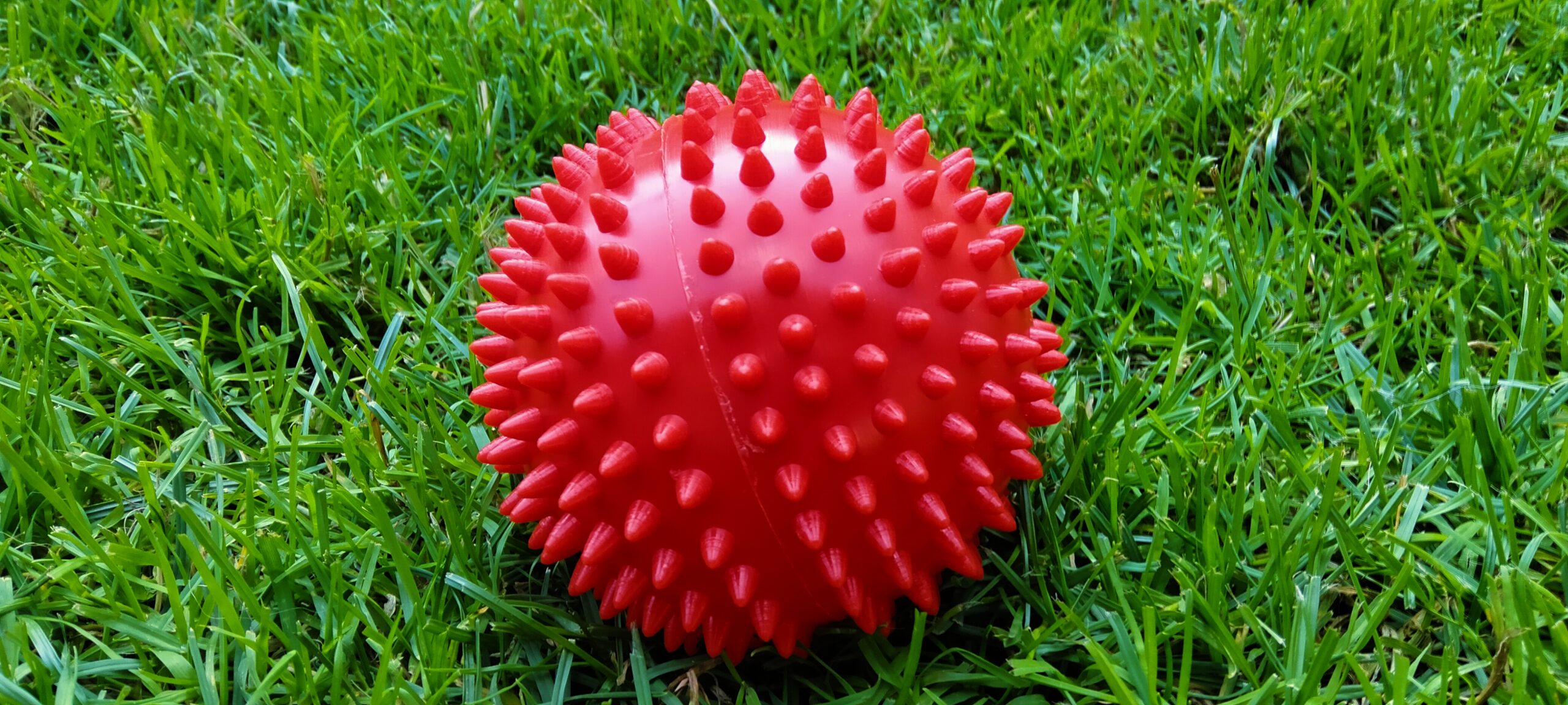 Piłka jeż Ø10 cm (czerwona) - obrazek 3