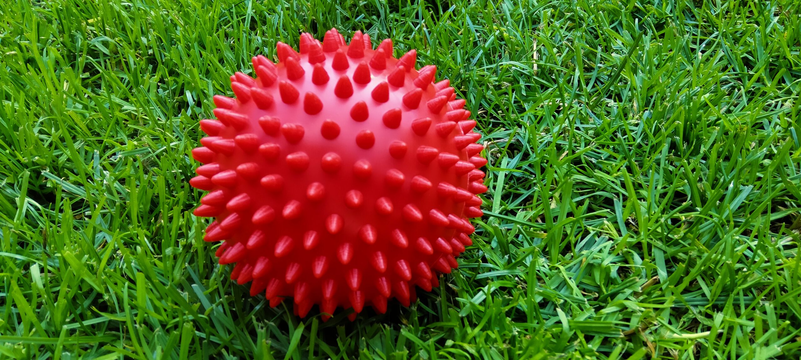 Piłka jeż Ø10 cm (czerwona) - obrazek 2