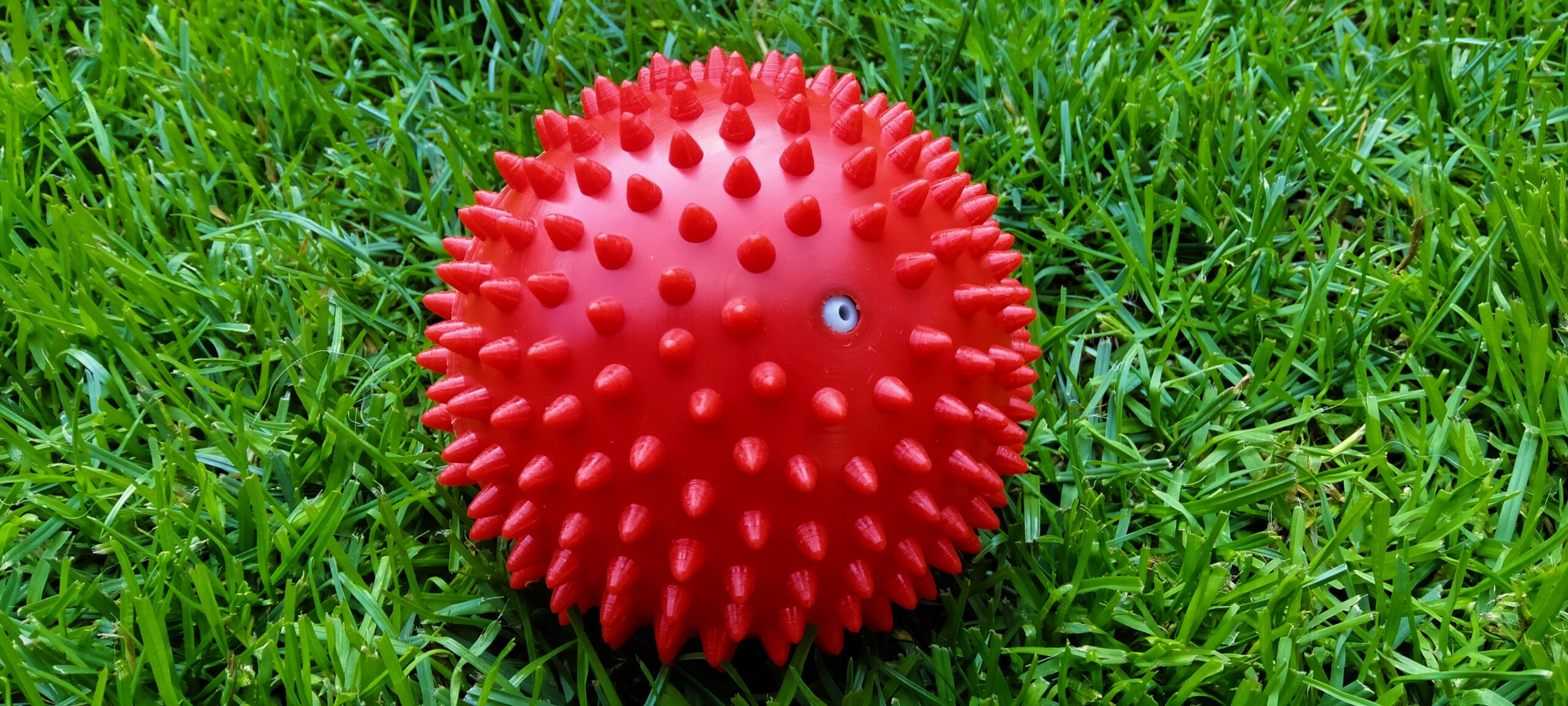 Piłka jeż Ø10 cm (czerwona) - obrazek 4