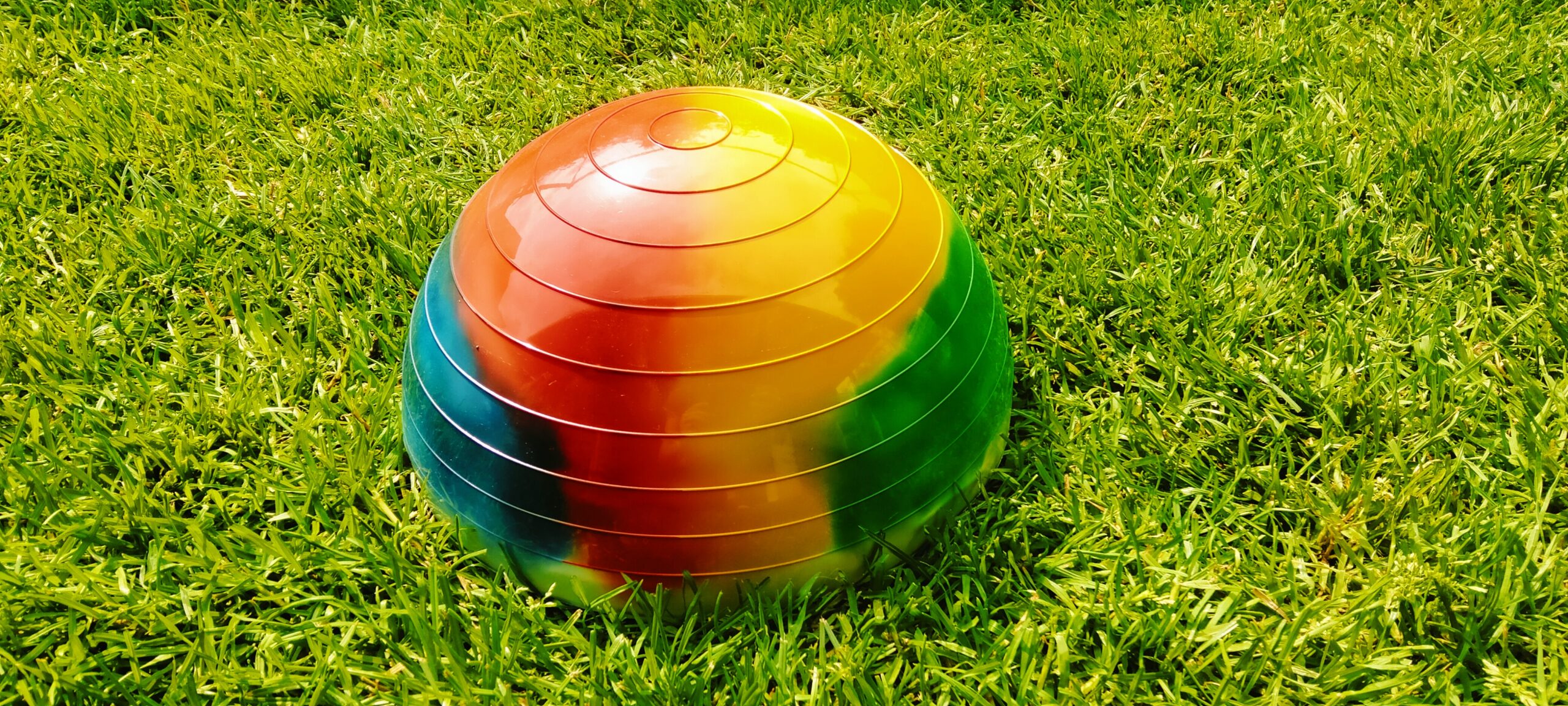 Trener równowagi Ø24 cm (PICASSO) - obrazek 4