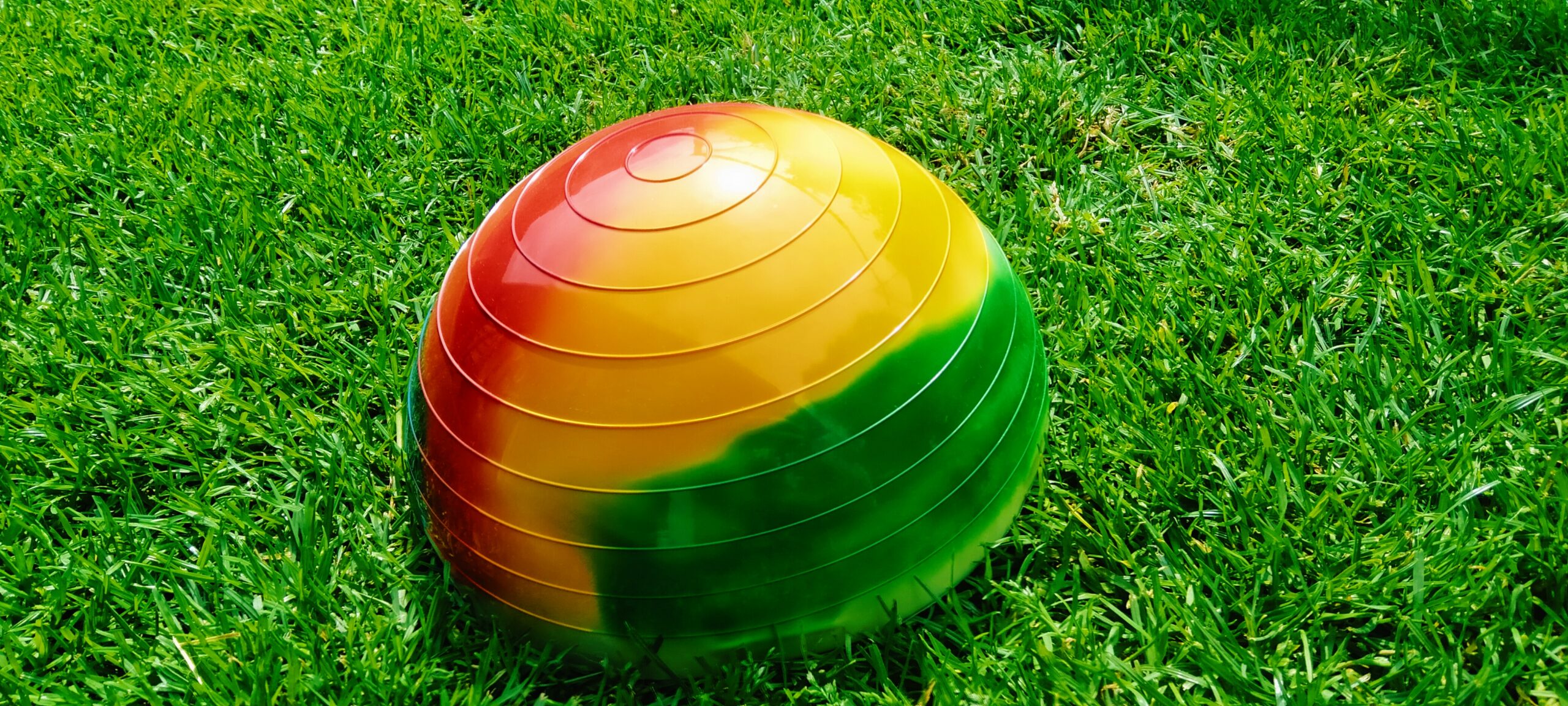 Trener równowagi Ø24 cm (PICASSO) - obrazek 2